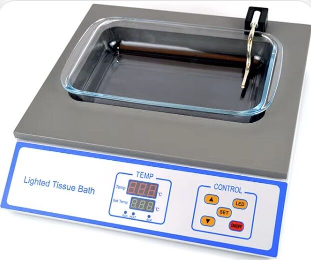 Floatation Bath With Light